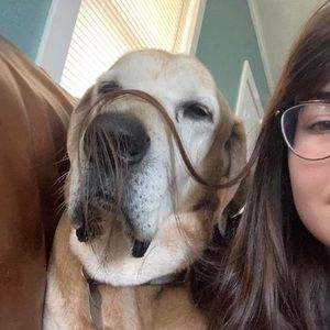 Meet your Posher, Cassie